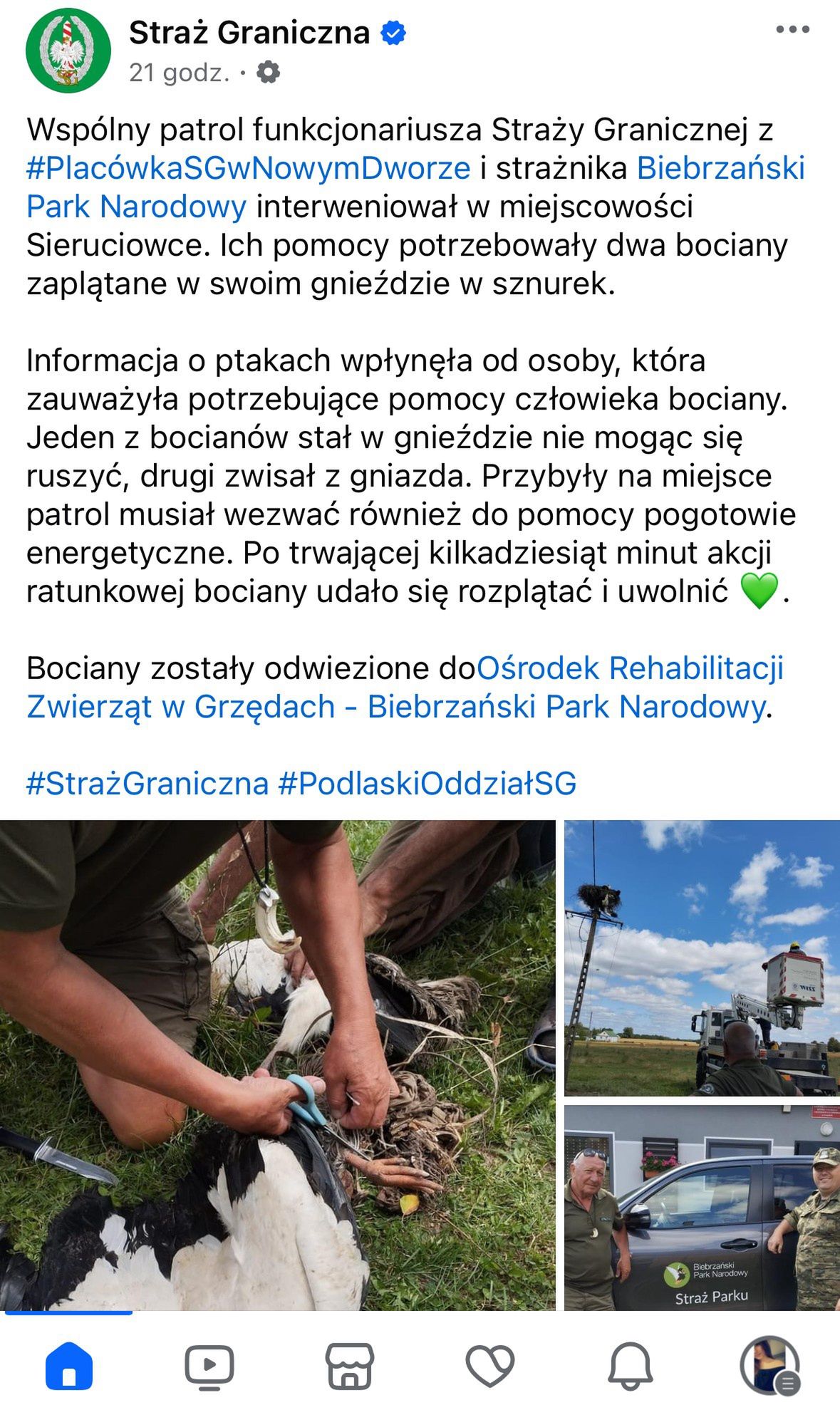 Post na Facebooku Straży Granicznej