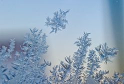 "Nawet -19 stopni". IMGW ostrzega przed mroźnym porankiem