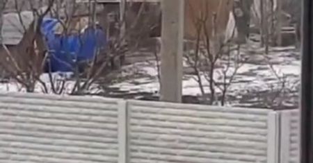 Rosyjscy żołnierze kradną kury z kurnika. Chwalą się, co ukradli