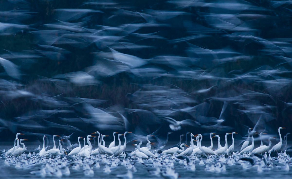 10 Polaków wśród laureatów Chromatic Photo Awards 2018! 12