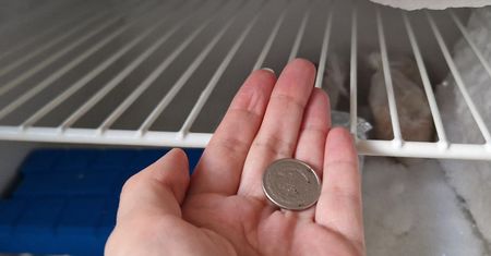 Włóż złotówkę do zamrażarki. Szybko sobie podziękujesz