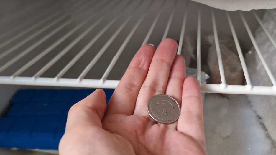 Wyjeżdżasz na majówkę? Nie zapomnij umieścić monety w zamrażarce