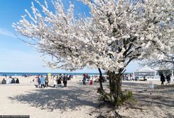 Nadchodzi wielka zmiana pogody. Zobacz, kiedy nastąpi przełom