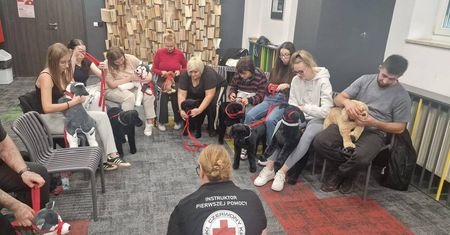 W Płocku rusza kurs "Uratuj życie psa – kurs udzielania pierwszej pomocy psom"