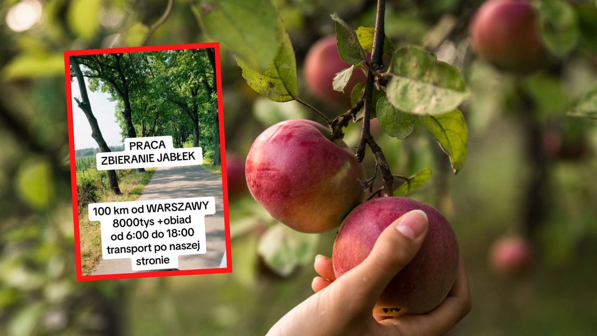 Ogłoszenie ws. pracy wywołało spore poruszenie