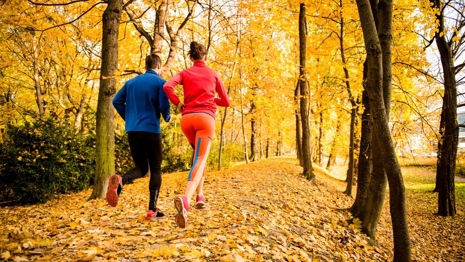 Couple jogging in autumn natureRunning together - young couple jogging in autumn park, rear viewrunning, autumn, jogging, couple, rear, fall, outdoor, run, sport, training, runner, person, action, woman, trees, workout, young, sportswear, authentic, real, happy, active, exercise, fitness, nature, park, health, jog, jogger, lifestyle, outside, people, recreation, slim, man, two, blue, yellow, leaves, together, friends, view