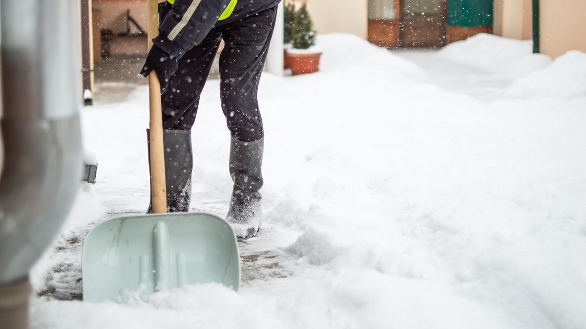 Man with snow shovel cleans sidewalk
Senior man cleaning doorway.
SanyaSM