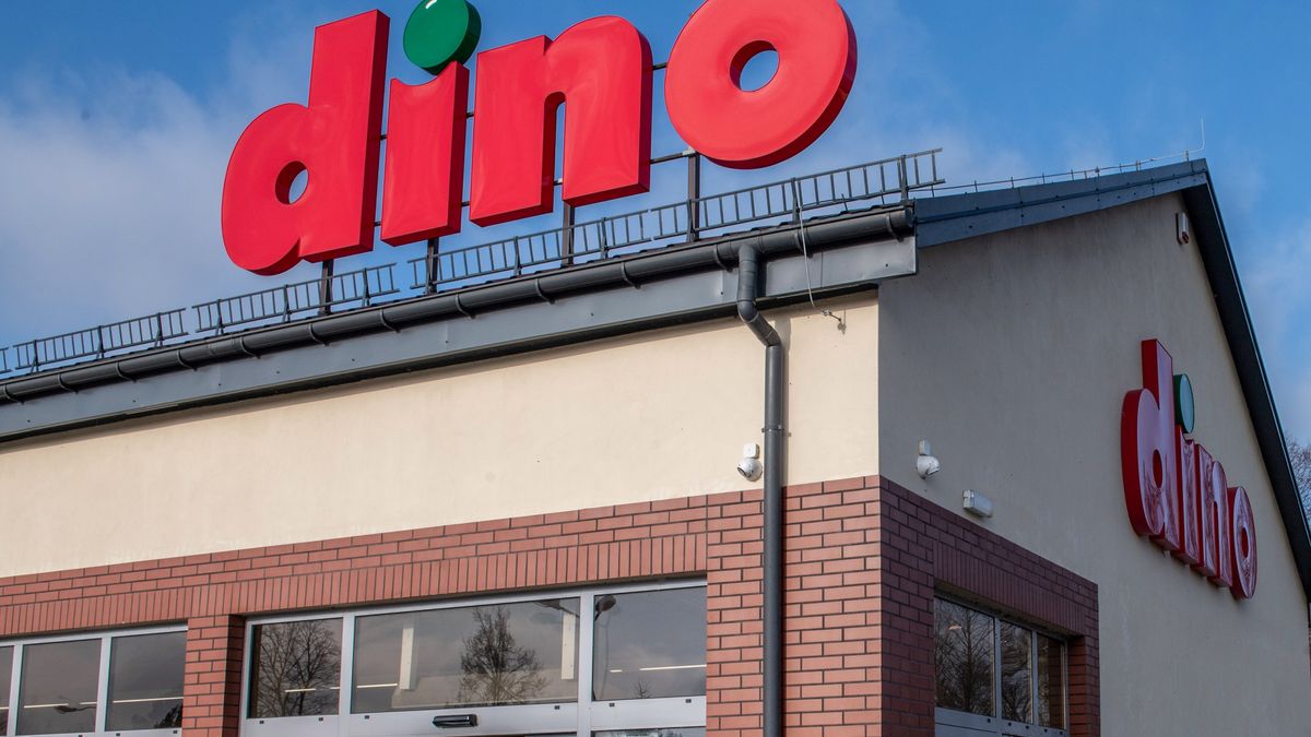 Promocje w Dino