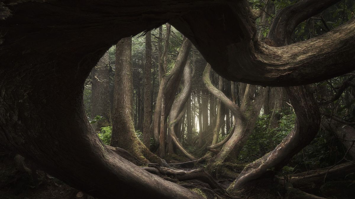 101 najpiękniejszych krajobrazów z całego świata w jednym albumie 1
