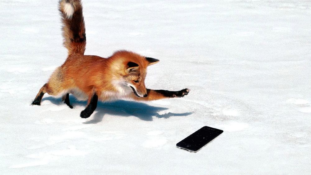 W skrócie: Micronix udostępnił pamięć NAND, siedziba Nokii sprzedana, Facebook kupi WhatsApp? 1