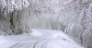 Śnieg i dwucyfrowy mróz. Wiadomo, kiedy uderzy zima