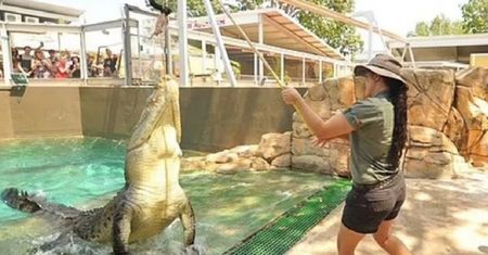 Chwile grozy w parku rozrywki. 5-metrowy krokodyl zaatakował opiekunkę