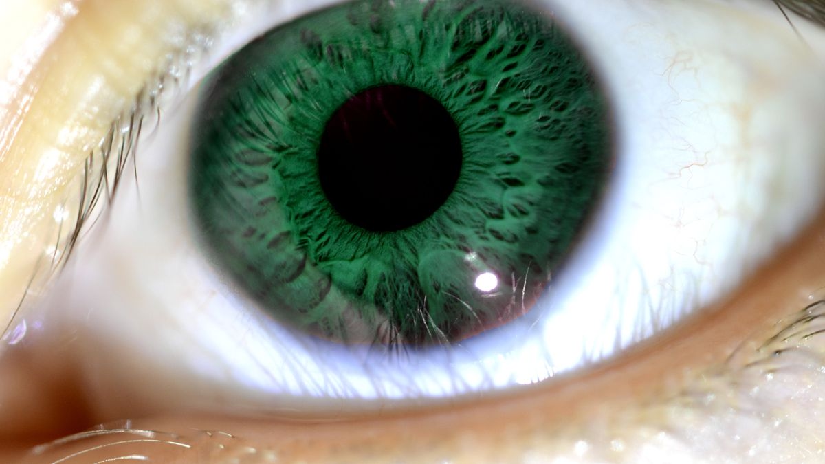 Ciśnienie w oku odpowiada za kulisty kształt gałki ocznej oraz za uwodnienie układu optycznego, który odgrywa kluczową rolę w procesie widzenia