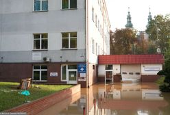 "Powodzi można było zapobiec". Burmistrz Nysy obwinia Wody Polskie