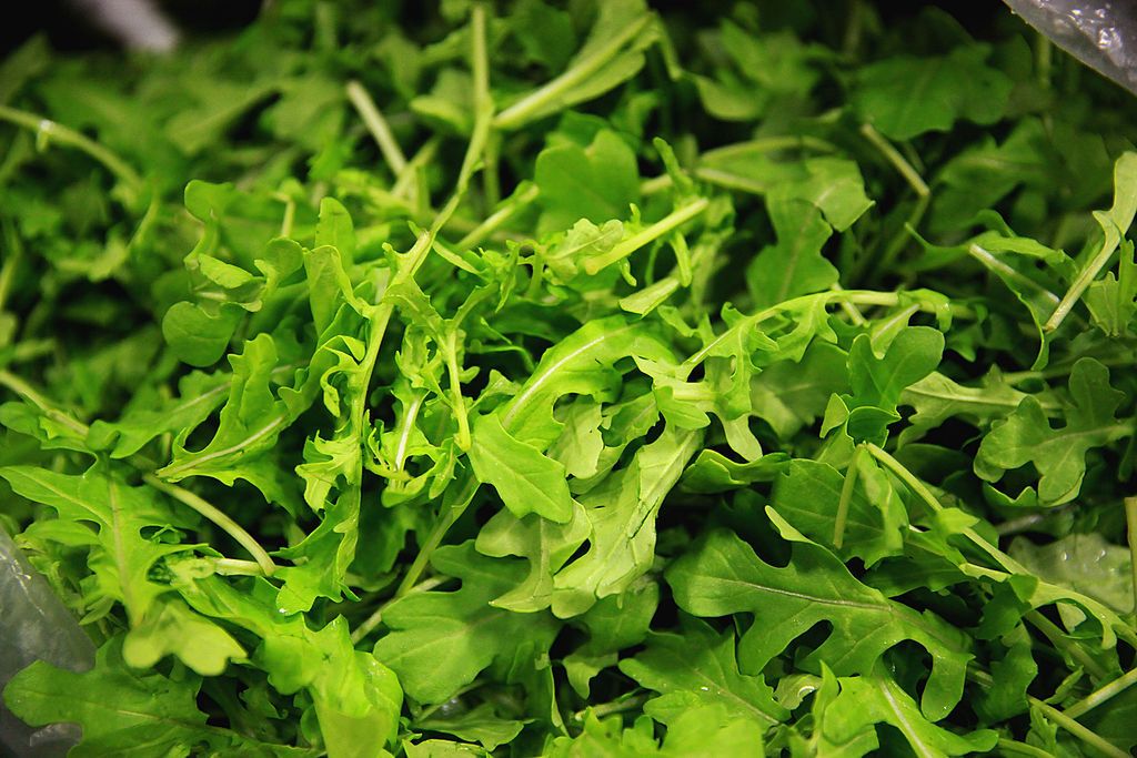 Rukolę łatwo pomylić ze starcem