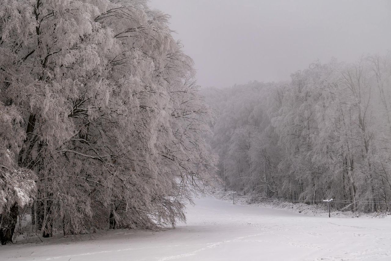 Nadchodzą zawieje śnieżne. Kolejne załamanie pogody w Polsce