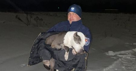 Leżał zziębnięty na zaśnieżonym polu. Świadkowie wezwali służby
