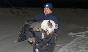 Leżał zziębnięty na zaśnieżonym polu. Świadkowie wezwali służby