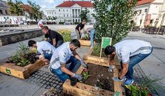 Łomża tworzy łąki kwietne w miastach