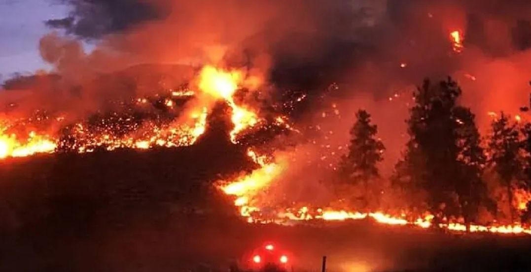 Pożary lasów na Syberii czy w Kalifornii są spowodowane w dużej mierze podnoszeniem się temperatury i wysuszeniem ściółki