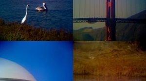 iPhone jak lustrzanka? 1