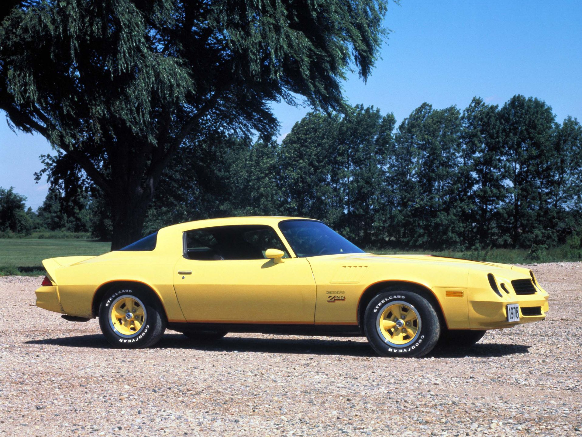 American Muscle - tylko dla prawdziwych mężczyzn! [galeria] 5