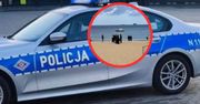 Zwłoki na plaży w Gdańsku. Nowe doniesienia z policji