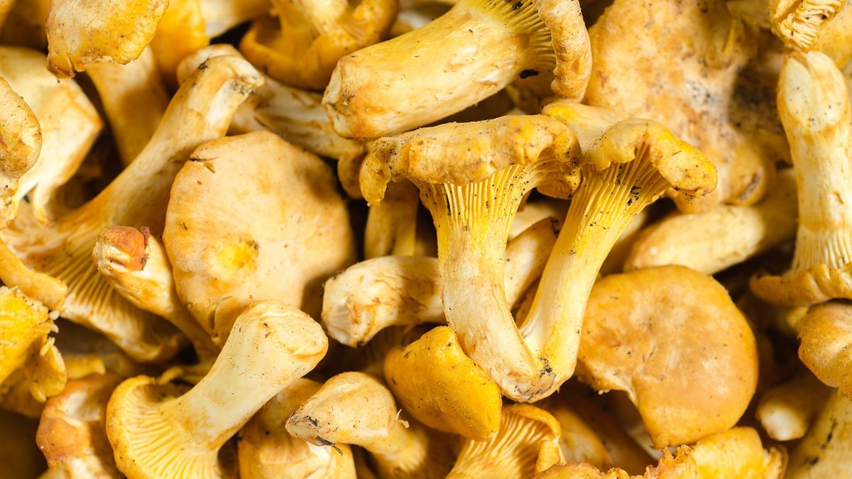 Częsty błąd przy mrożeniu kurek