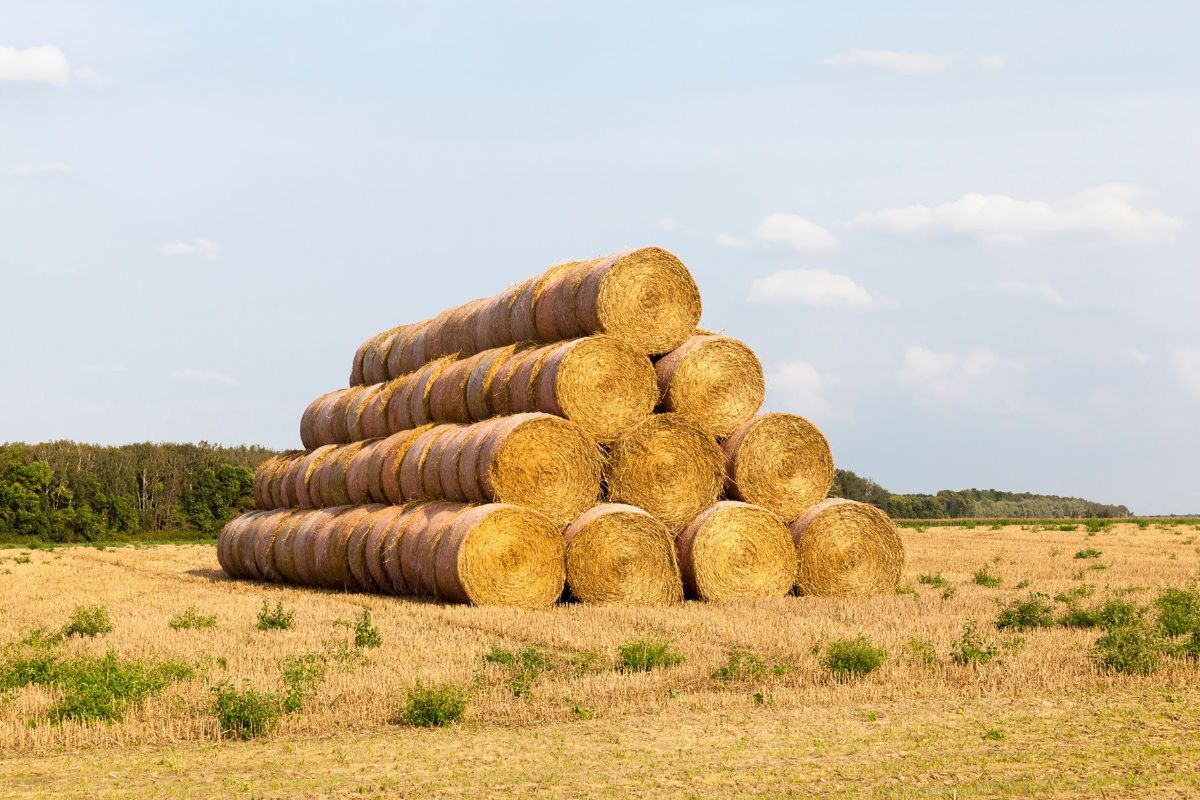 Składowanie bel słomy