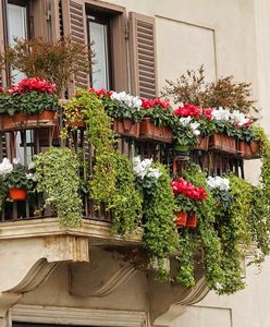 Tego nie wolno robić na balkonie. Ekspert wyjaśnia