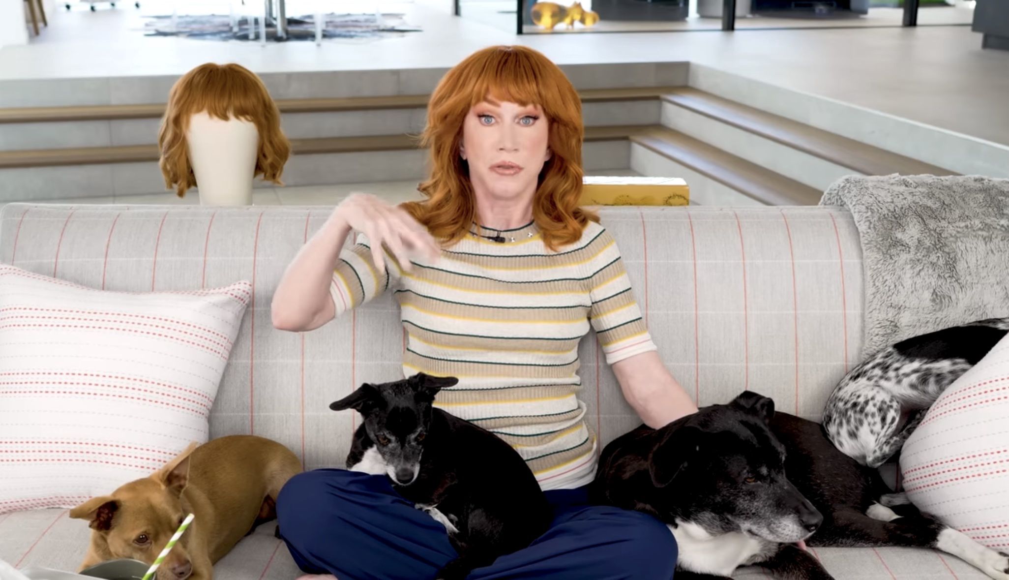 Kathy Griffin po trzecim liftingu