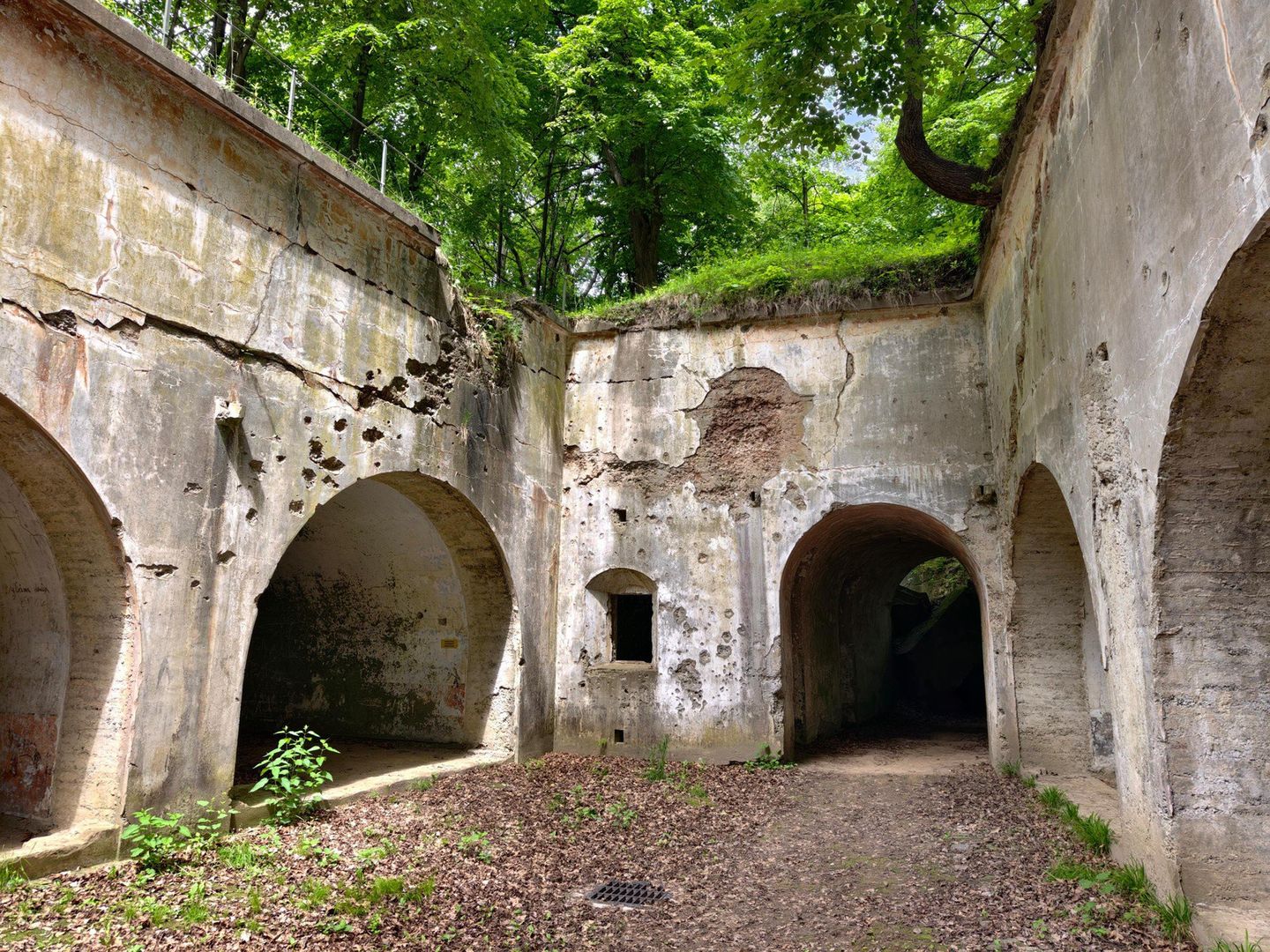 Fort I Salis-Soglio w Siedliskach jest jednym z najlepiej zachowanych i najefektowniejszych elementów pierścienia zewnętrznego Twierdzy Przemyśl