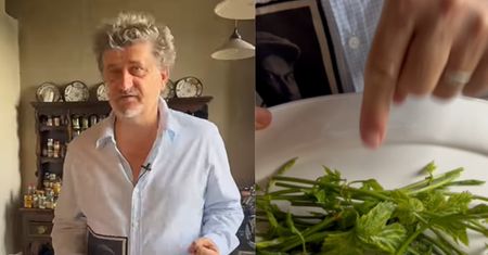 Niemcy i Hiszpanie płacą setki euro, a Palikot zrywa za darmo na ulicy. "Majstersztyk!"