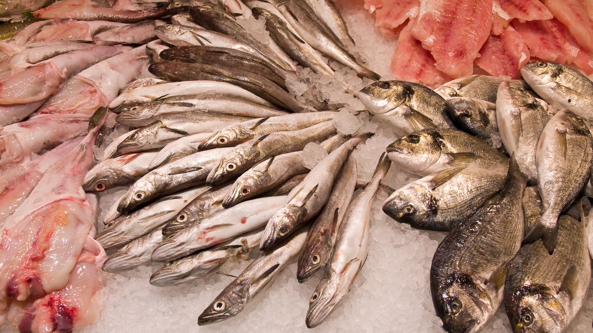 Świeże ryby wyłożone na lodzie