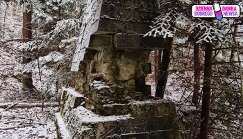 Jedyny w Polsce. Leśnicy ujawniają. Już wiadomo, co to jest