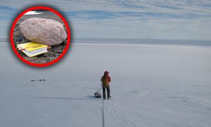 Gigant ukryty pod lodem. Na trop wpadli dzięki kamieniowi