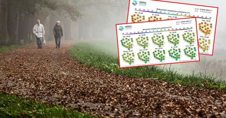 W ruch pójdą cieplejsze kurtki. Jesień wkroczy do Polski z przytupem