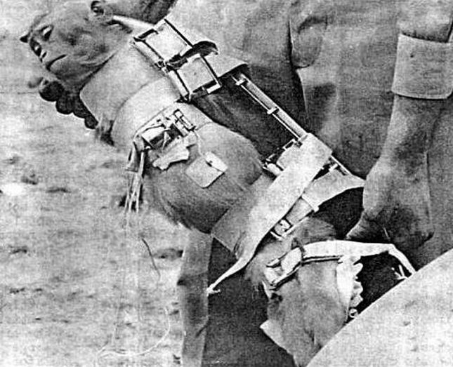 Projekt Albert: tragiczny los pierwszych astronautów. Zapomniani pasażerowie rakiet V2 3