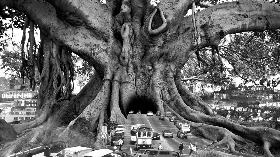 Niezwykłe fotomontaże... bez Photoshopa 1