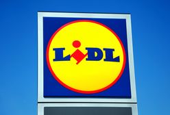 Lidl w Polsce i Niemczech. Oto ile płaci sieć w zależności od kraju