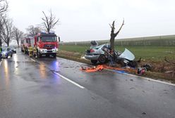 Tragiczny wypadek pod Strzegomiem. Nie żyje 20-latek