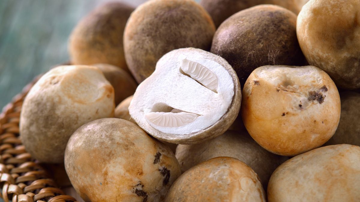 Grzyb słomkowy świetnie zastępuje pieczarki