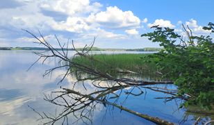 Gmina chce kupić wyspę. Nie chcą powtórki z zamkiem w Stobnicy