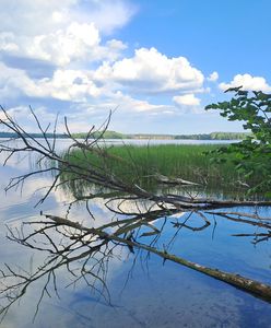 Gmina chce kupić wyspę. Nie chcą powtórki z zamkiem w Stobnicy