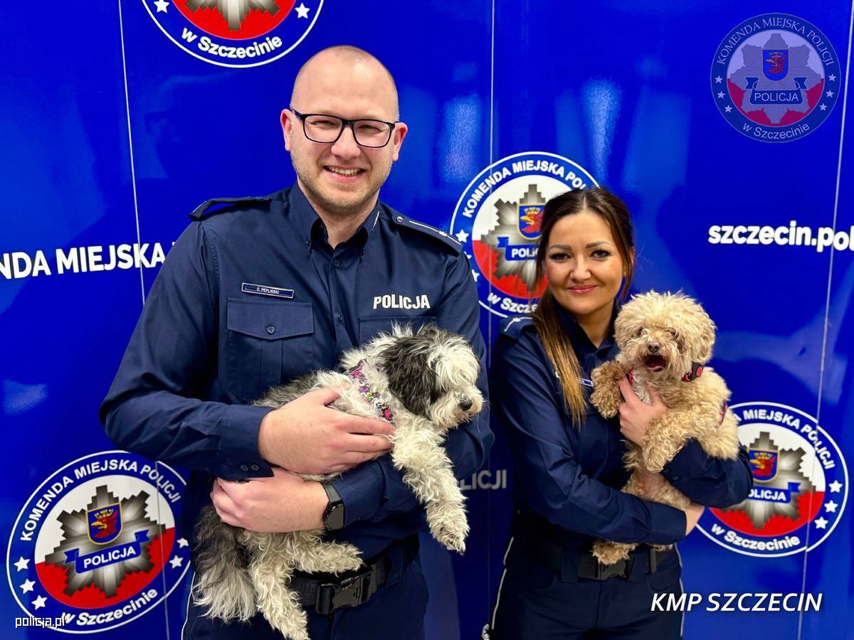 Szczecińscy policjanci odzyskali skradzione psy