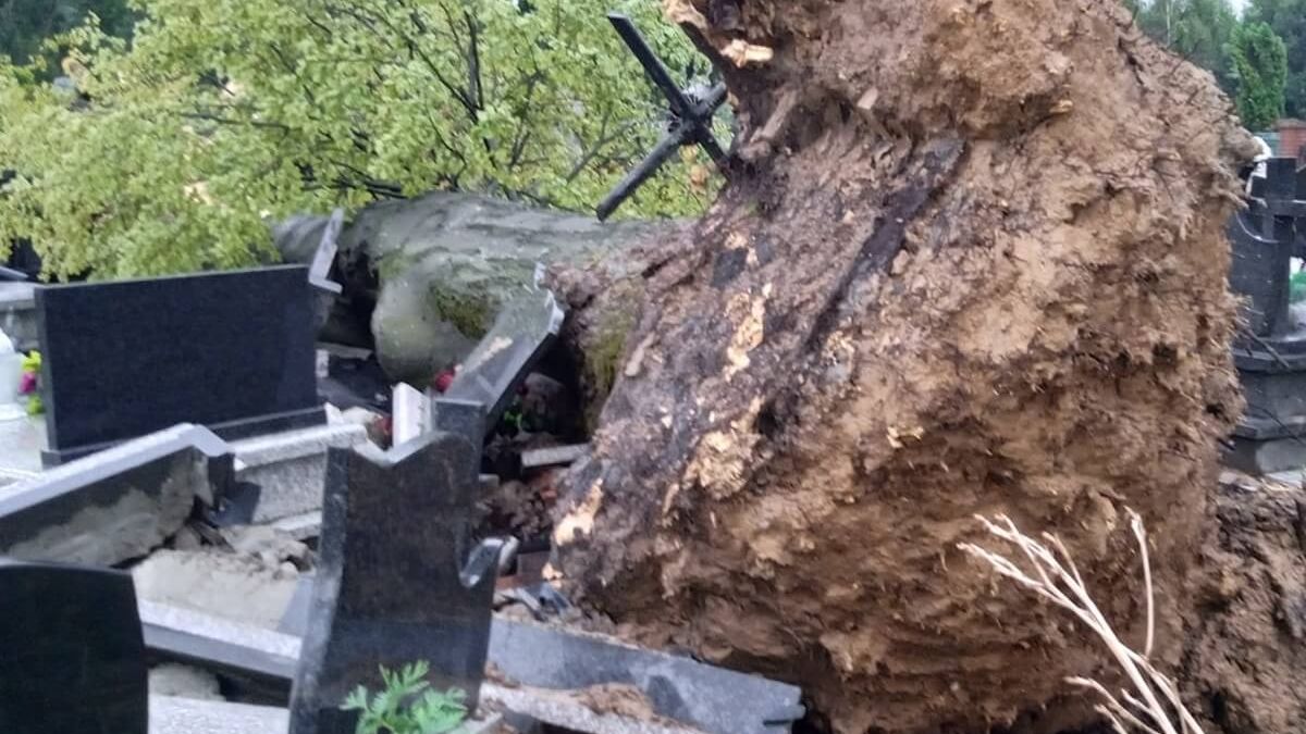Przewrócone drzewo uszkodziło nagrobki na cmentarzu w Wilkołazie