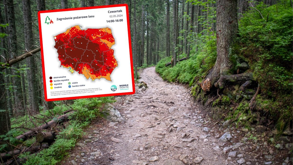 Zagrożenie pożarowe w całej Polsce. Mapa świeci się na czerwono