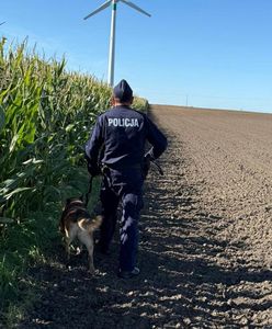 Nietypowe pułapki na polach. Policja ostrzega