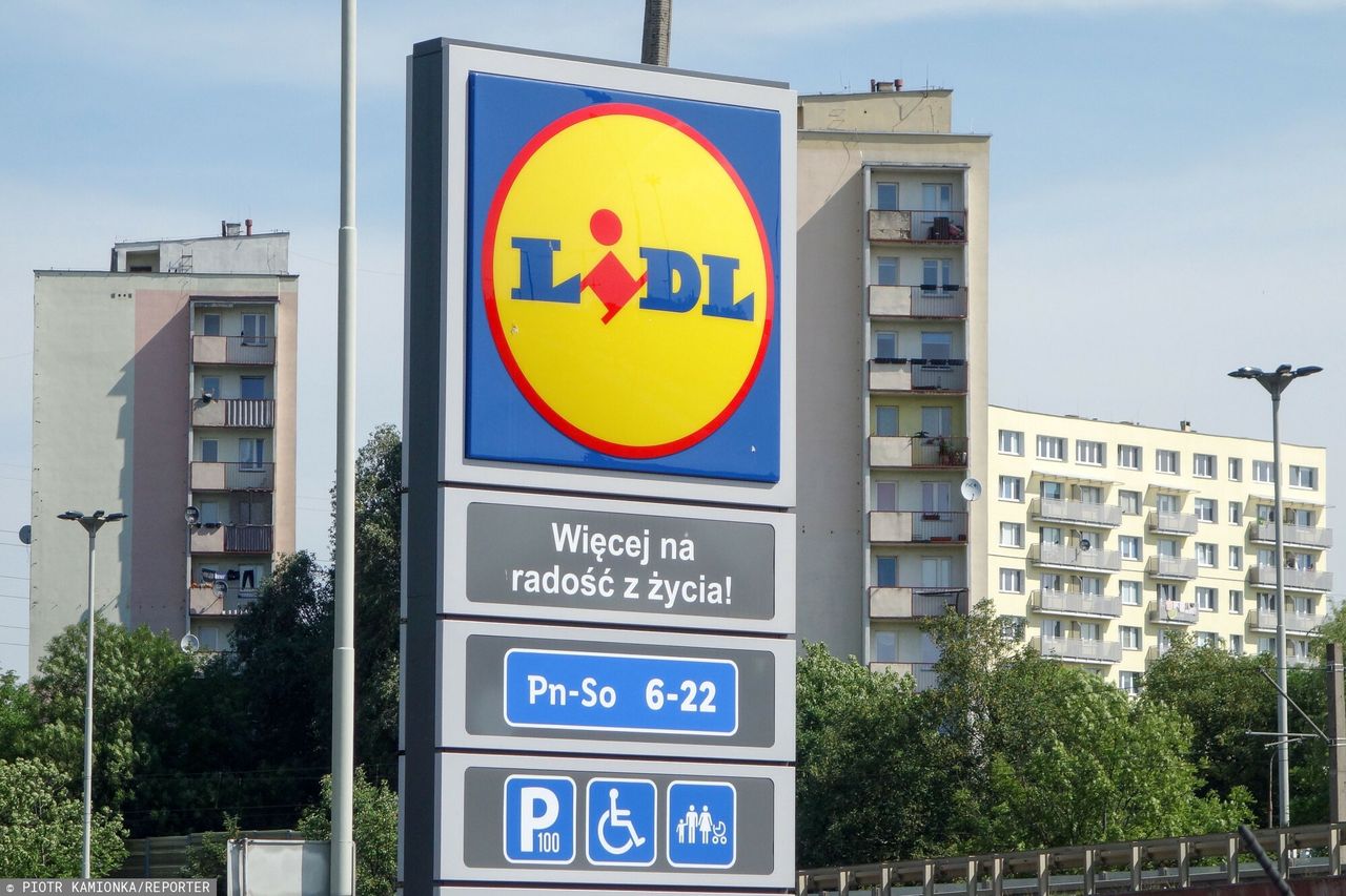 "Lidl traci rozpęd". Biedronka widzi, co robi największy konkurent