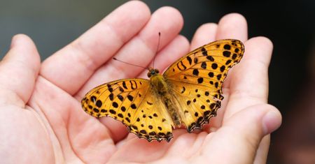 60 mln kary dla turystów. Dostali "najwyższą w historii kraju grzywnę"